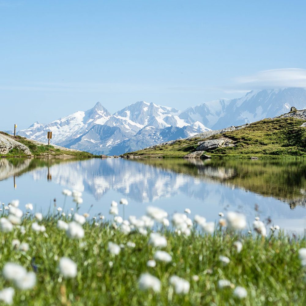 Les-Arcs-Ete-_1_